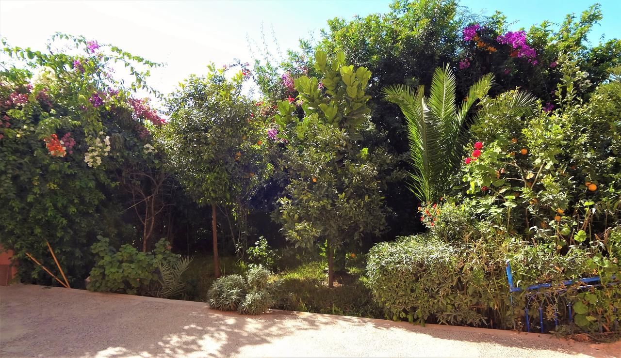 Surf & Yoga Paradise Morocco Tamraght Exterior foto