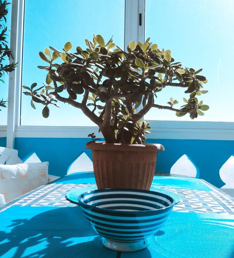 Surf & Yoga Paradise Morocco Tamraght Exterior foto