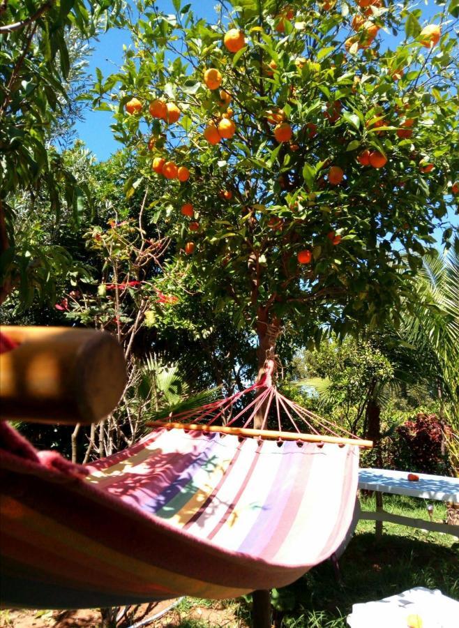 Surf & Yoga Paradise Morocco Tamraght Exterior foto