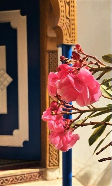 Surf & Yoga Paradise Morocco Tamraght Exterior foto